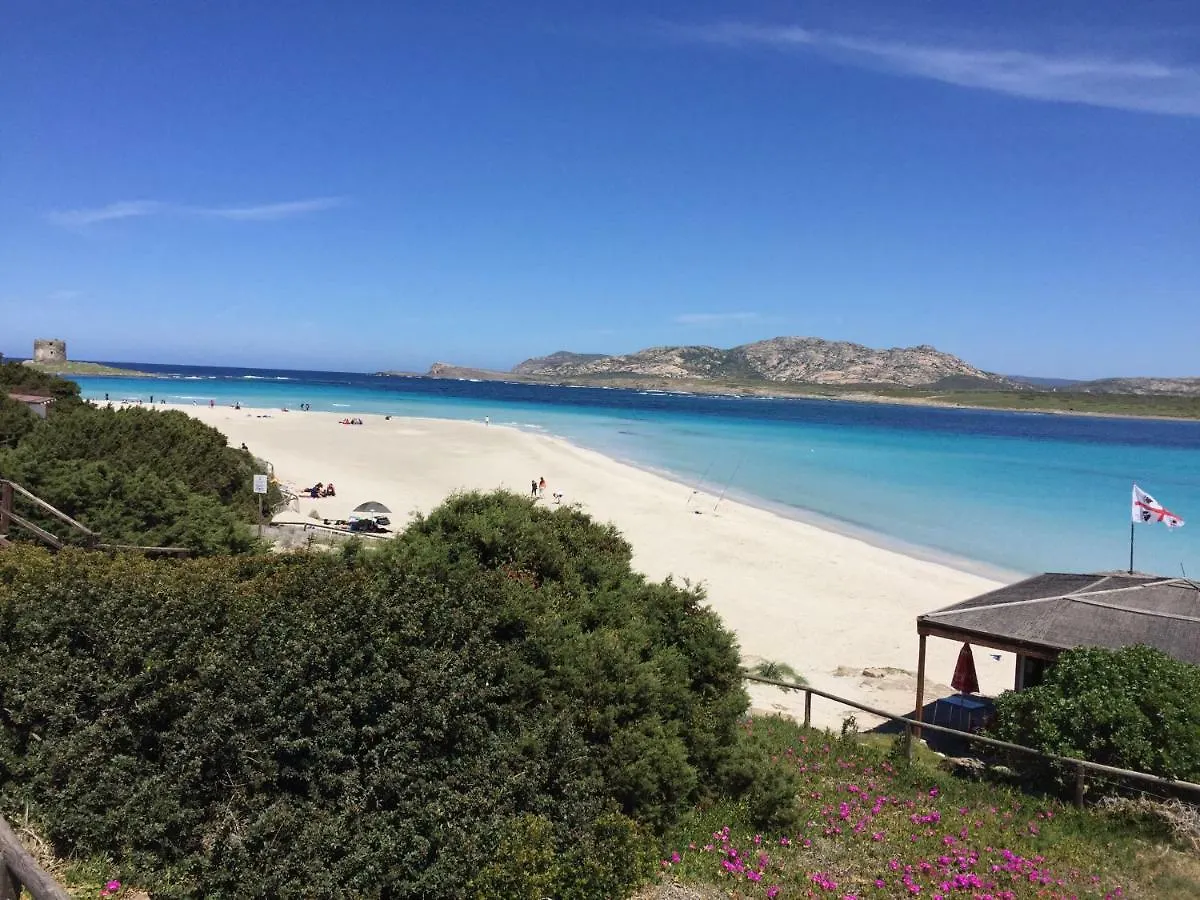 Nyaraló Splendido Appartamento Ultimo Piano Vista Mare Alghero Lido Olaszország