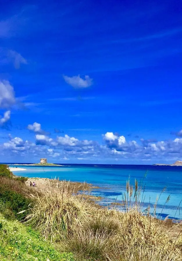 Casa vacanze Splendido Appartamento Ultimo Piano Vista Mare Alghero Lido
