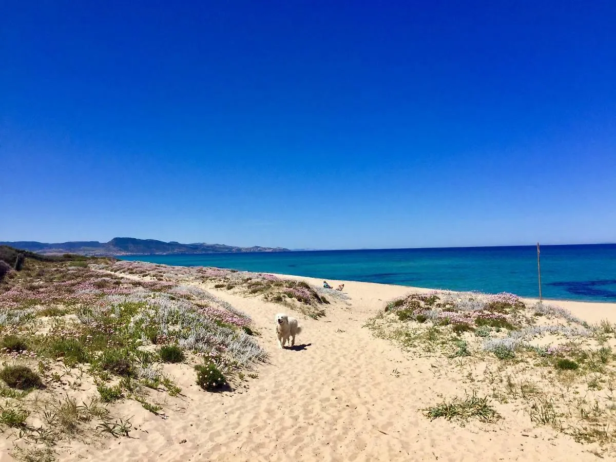Splendido Appartamento Ultimo Piano Vista Mare Alghero Lido 0*,